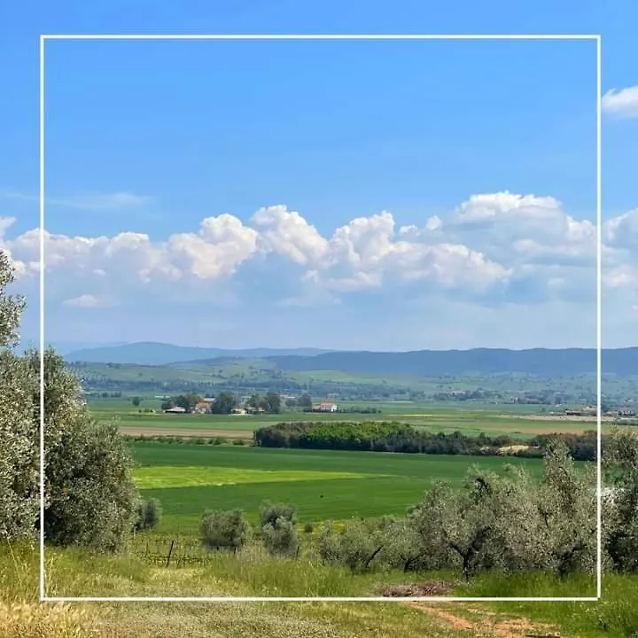 Agriturismo I Grappoli Alberese